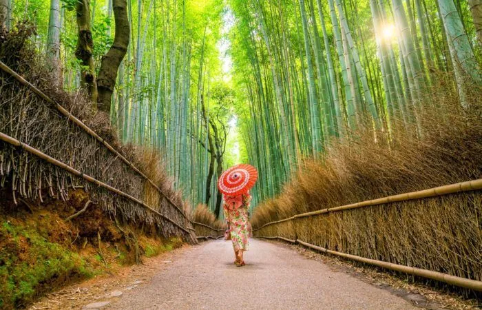 japan photo tour