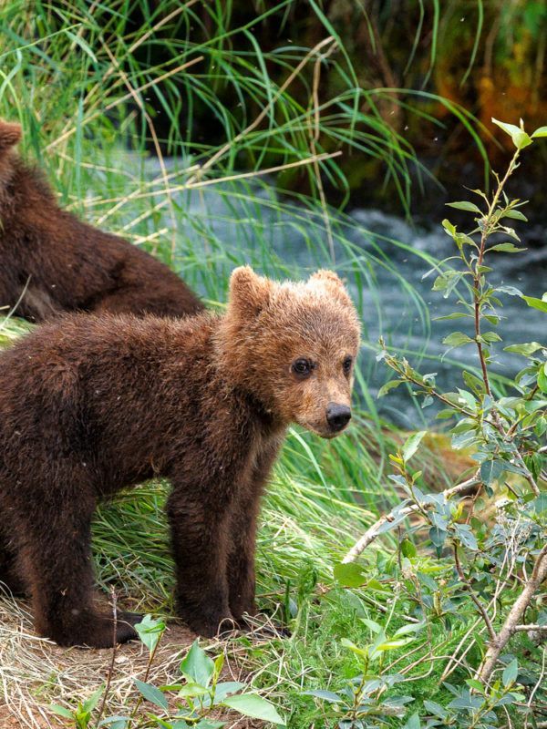 alaska photo tour