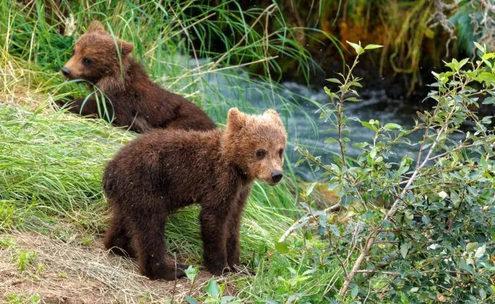 alaska photo tour