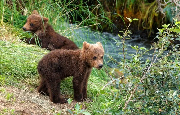 alaska photo tour