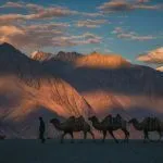 Nubra sand dunes Ladakh photo tour Nubra sand dunes Ladakh photo tour