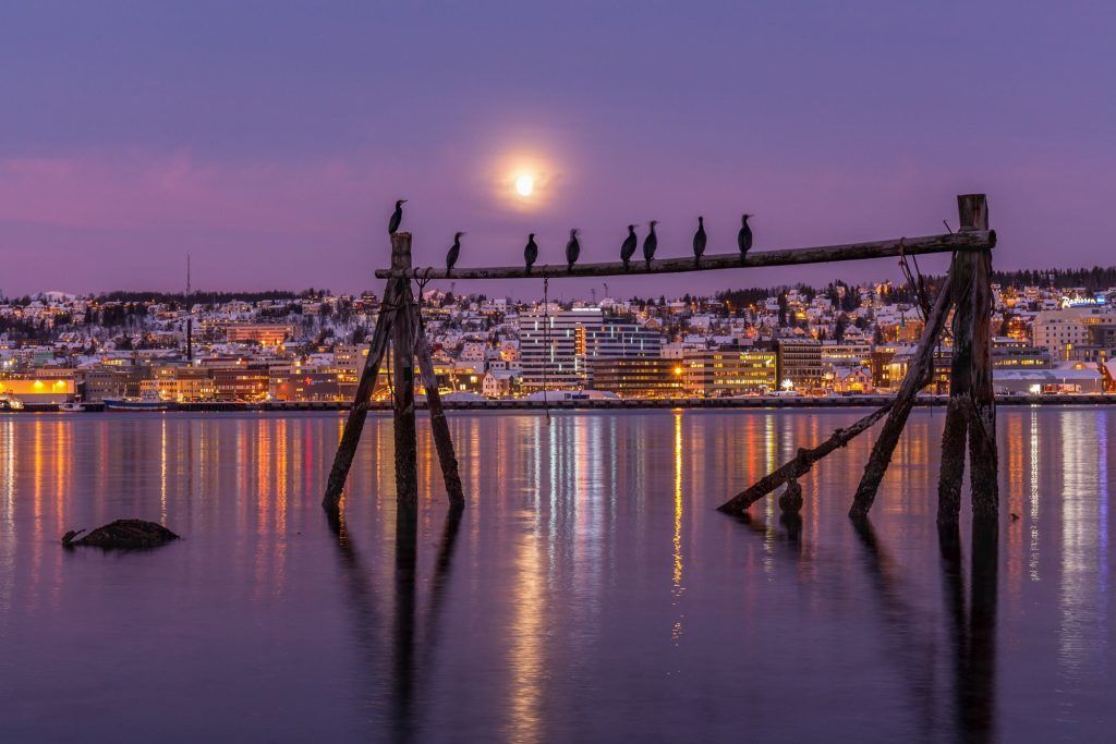 Tromso Photo Tour at dawn