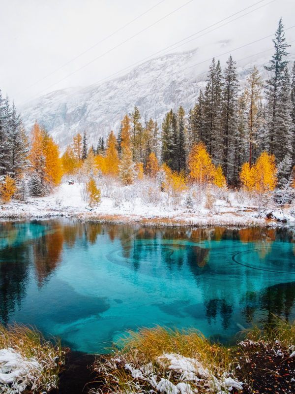 Pond Altai photo tour
