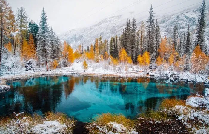 Pond Altai photo tour