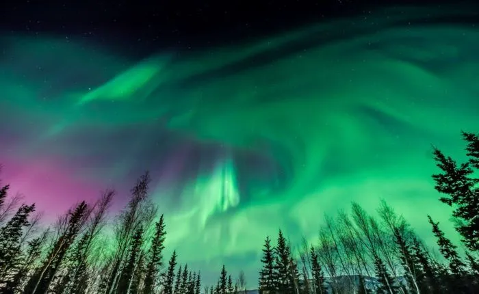 Northern Lights Photo Tour