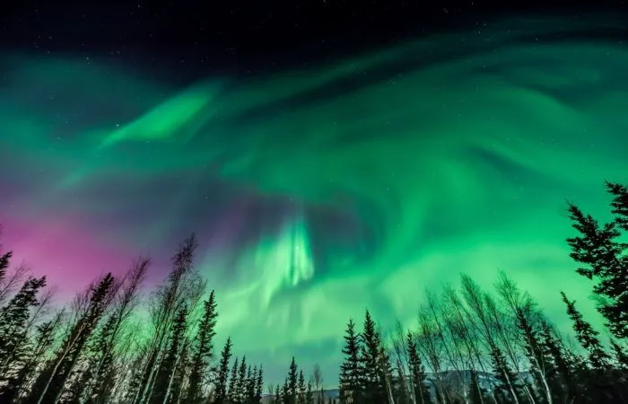 Northern Lights Photo Tour