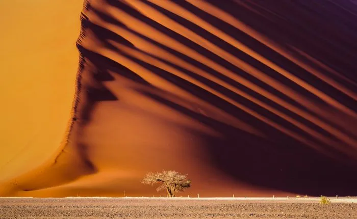 Sossusvlei Sand Dunes Namibia photo tour