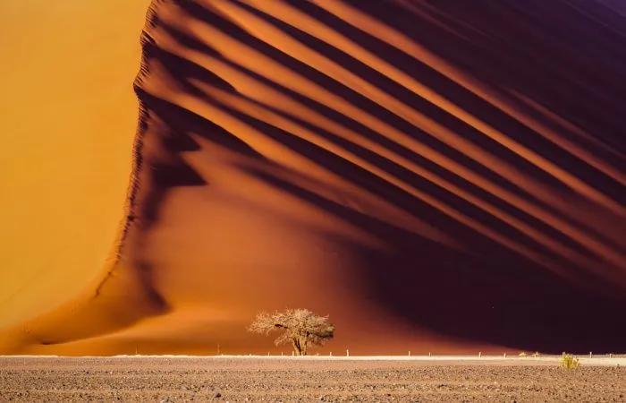 Sossusvlei Sand Dunes Namibia photo tour