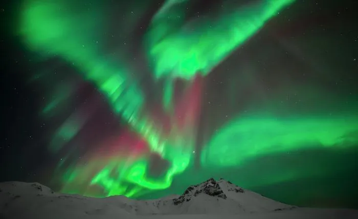 Strong aurora borealis on a guided photo tour in Iceland