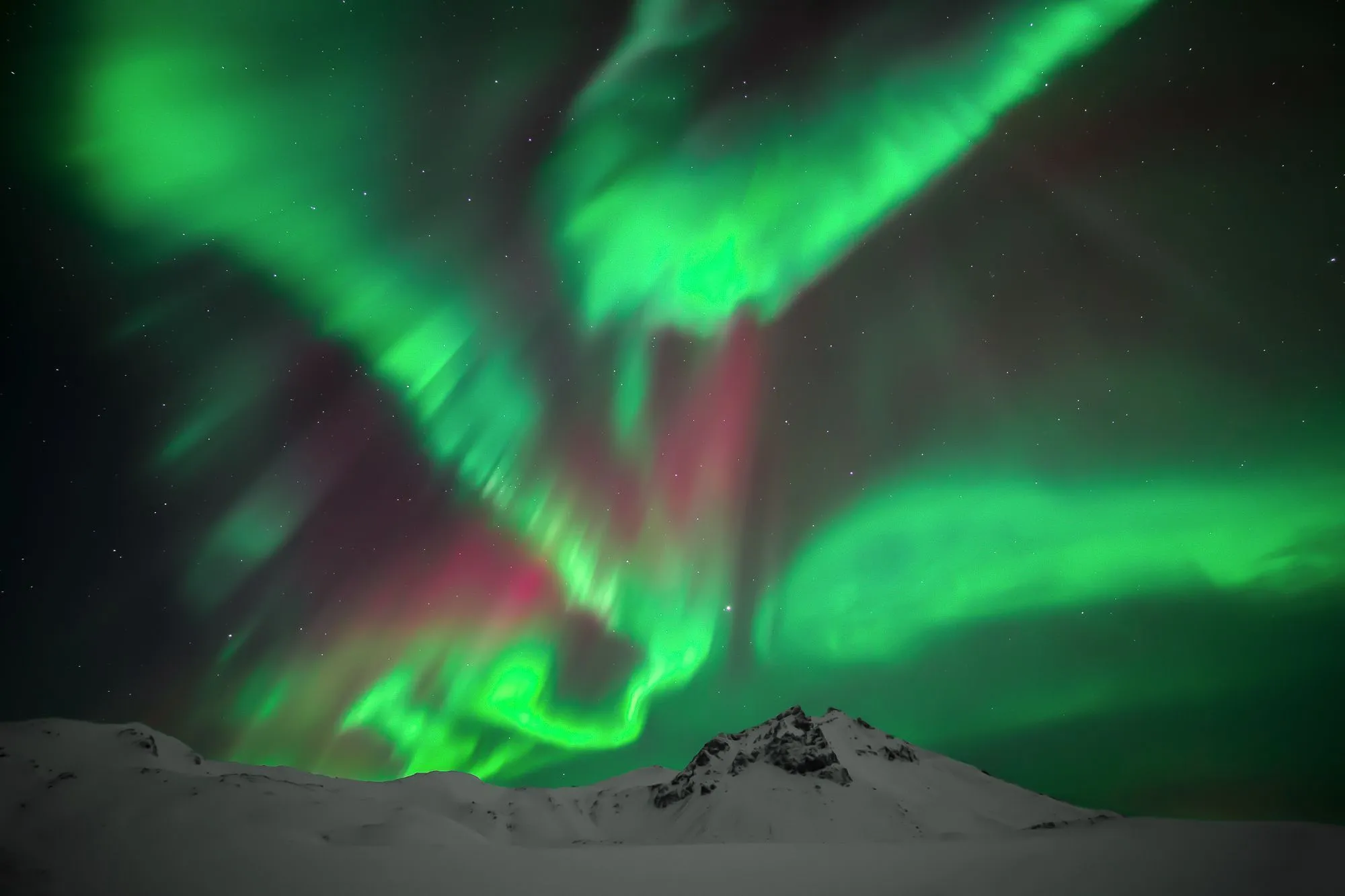 Strong aurora borealis on a guided photo tour in Iceland